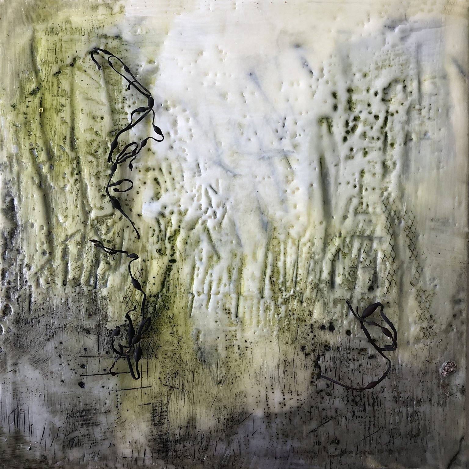 Musgo — Gabriela Sánchez