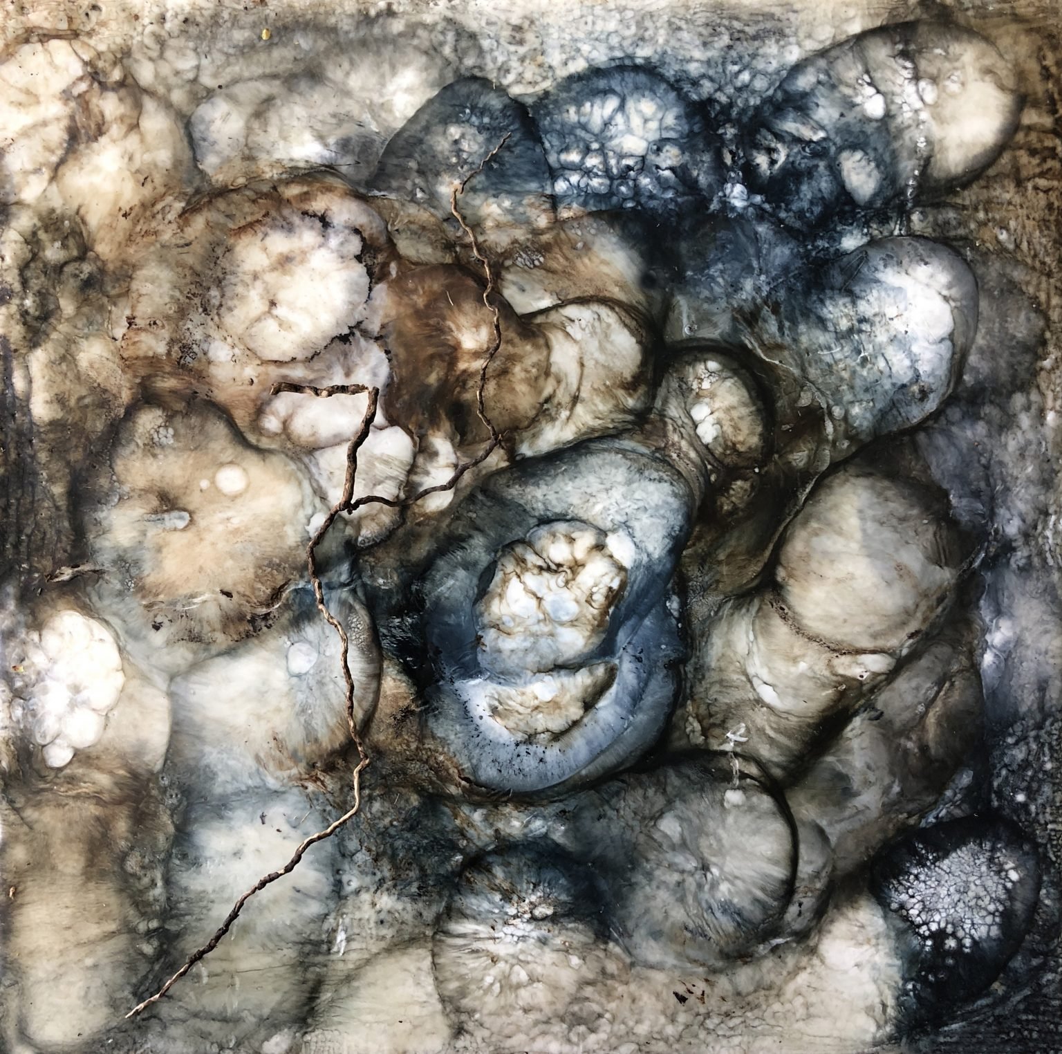 Vestigio — Gabriela Sánchez