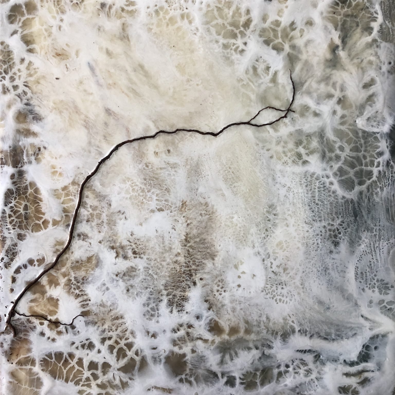 Meandro — Gabriela Sánchez