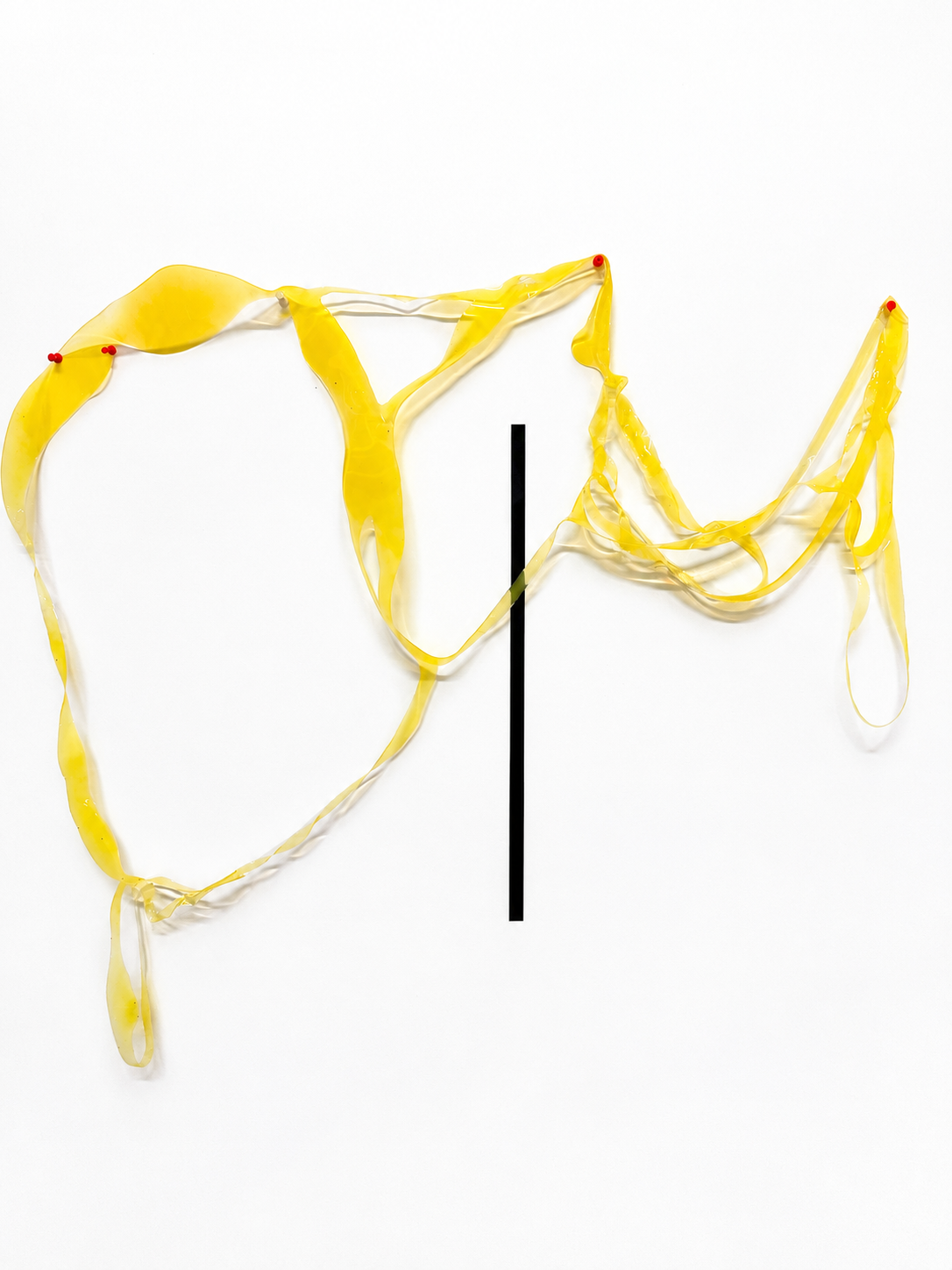 Obra de Gabriela Sánchez