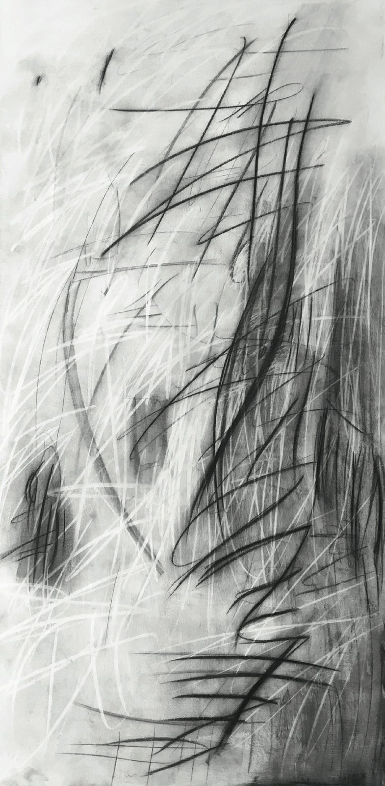 Dicotomía — técnica mixta sobre tela, 60 × 120 cm, Gabriela Sánchez